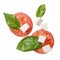 Red tomatoes, mozzarella and basil isoalted