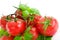 Red tomatoes, parsley and basil with water drops.