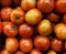 Red tomatoes stacked on a supermarket shelf. Bright, delicious and juicy