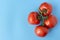 Red tomatoes on a twig on a blue background. Vegetables from the garden. Vegetarian food