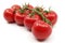 Red tomatoes on a twig on a white background