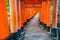 .Red Tori Gate at Fushimi Inari Shrine Temple in Kyoto, Japan