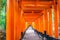 .Red Tori Gate at Fushimi Inari Shrine Temple in Kyoto, Japan