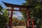 Red tori with Mount Fuji in the background at Chureito pagoda