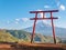 Red torii of Chureito temple with Mountain Fuji as background