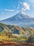 Red torii of Chureito temple with Mountain Fuji as background