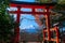 Red Torii gate of Chureito Pagoda Mount Fuji in centre under blue sky autumn. Shimoyoshida - Fujiyoshida