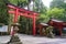 Red Torii gate at the entrance of Hakone Shrine