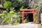 Red Torii Gate in Hasedera temple, Kamakura, Japan