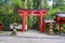 Red Torii gate, stairs and sequoia alley. Hakone shrine