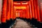 Red Torii gates at Fushimi Inari shrine in Kyoto, Japan