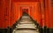 Red torii gates and lantern