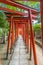 Red Torii tunnel path at Nezu Jinja Shinto Shrine. Japan\\\'s Important Cultural Property