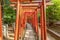 Red Torii tunnel path at Nezu Jinja Shinto Shrine. Japan\\\'s Important Cultural Property