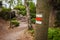 Red tourist sign on a tree marking a trail in beautiful landscape of Czech Republic