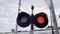 Red traffic light on pole with tree against electric blue sky.