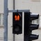 A red traffic light shows the combined picture for bicycle and pedestrians in Vienna, Austria