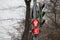 Red traffic light with thirty seconds timer. movement adjustment