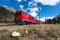 The red train of the Bernina express passes near Pontresina in s