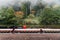 Red trains in Alishan Forest Railway stop on the platform of Zhaoping railway station with trees and fog in the background.