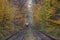 Red tram ride through an autumn forest