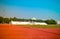 Red treadmill, track running at the stadium with green grass on