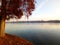 Red tree and frozen lake Herastrau in autumn