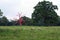 Red tree and sheep in Croft Castle landscape, England