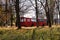 red trolleybus goes to a U-turn among golden fallen leaves and trees. Urban public transport.