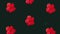 red tropical flowers pattern animation