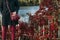 Red trousers and red leaves of plants