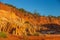 Red Tsingy Panorama in Madagascar