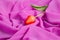 Red tulip on a background of pink soft thin fabric lined