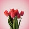 Red tulip bouquet on pastel pink background. Minimal creative flower gift for mothers and valentine day