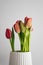 Red tulip flower bouquet in bloom on a white pot isolated on a bright solid white textured background