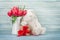 Red tulip flowers and easter rabbit toy