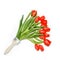 Red tulip flowers paint brush Creative floral flat lay