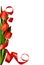 Red tulip flowers and silk ribbon corner