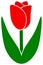 Red tulip icon