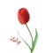 Red tulip in low poly style. Polygonal flower