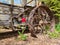 Red Tulip with Old Farm Wagon