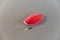 A red tulip petal against a gray background.  Fallen petal with stamen lying on the surface. Minimalist composition