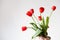 Red tulip spring flower floristry craft bouquet