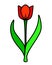 Red tulip with two leaves - vector full color illustration. Tulip is a stylized picture for a logo or pictogram. Spring bright flo