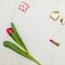 Red tulip on a white wooden board