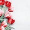 Red tulips background, top view. Festive spring flowers. Floral composing. Springtime holiday and greeting concept. Copy space for