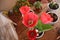 Red Tulips blossom on balcony garden in the pot