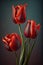 Red tulips bouquet in vibrant tints isolated on blurry background. Fresh spring tulip flowers blossoms on vertical