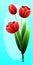 Red tulips. International Happy Mothers Day with Bunch of Spring Flowers. Womens Day. Holiday background. Beautiful bouquet. Trend