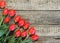 Red tulips laid out at the corner on a wooden ancient background. Place for text and congratulations.Spring floral background
